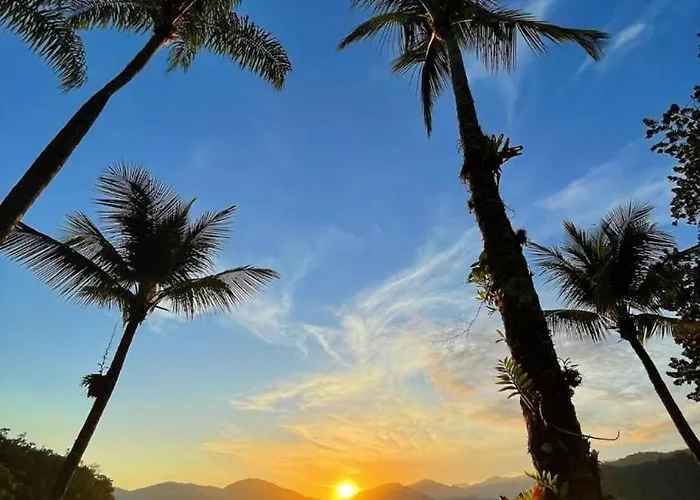Paraiso Tropical